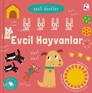 Sesli Dostlar - Evcil Hayvanlar (Sesli Kitap) - Kolektif