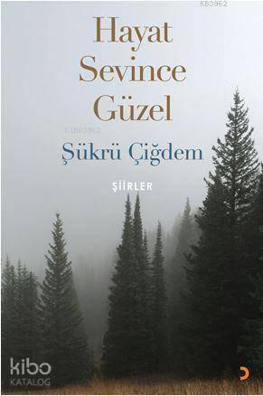 Hayat Sevince Güzel - Şükrü Çiğdem