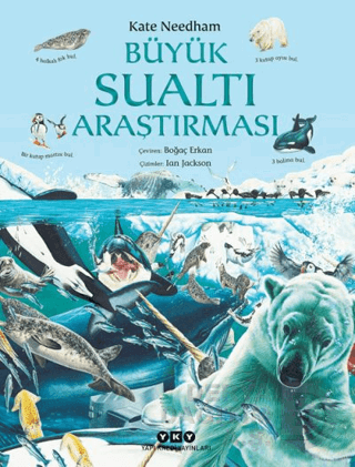 BÜYÜK SUALTI ARAŞTIRMASI