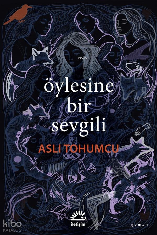 Öylesine Bir Sevgili