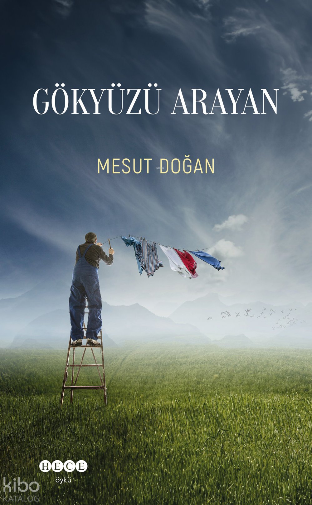 Gökyüzü Arayan - Mesut Doğan