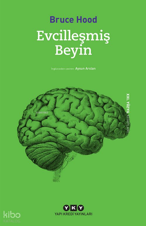Evcilleşmiş Beyin