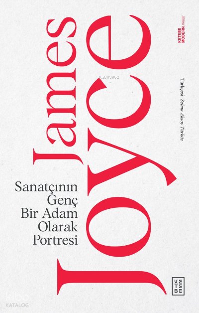 Sanatçının Genç Bir Adam Olarak Portresi - James Joyce