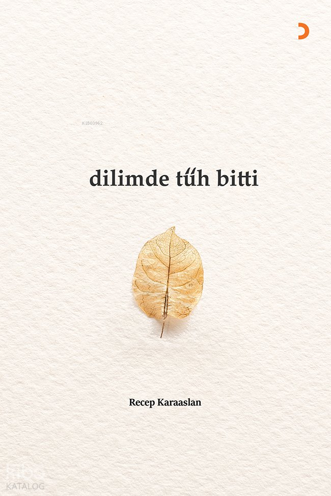 Dilimde Tüh Bitti - Recep Karaaslan