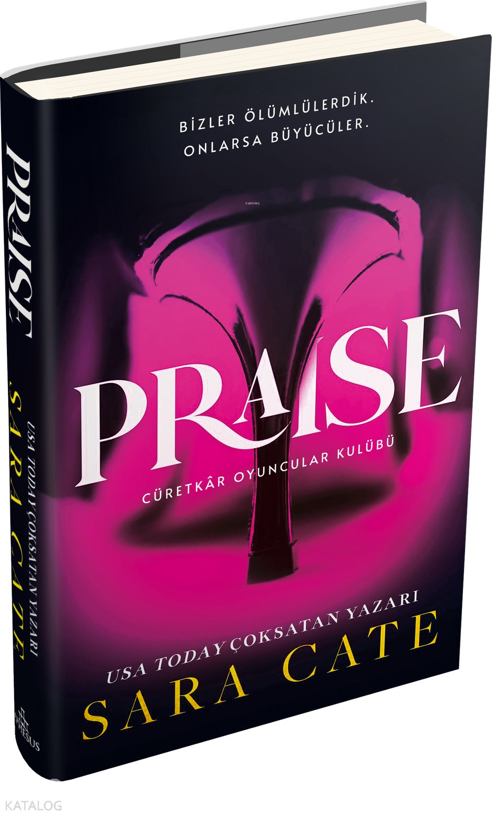 Praise - Sara Cate