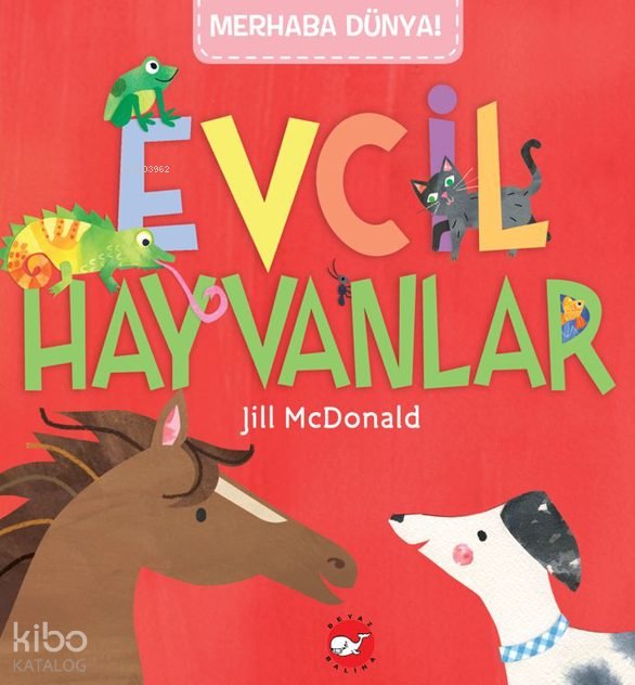 Evcil Hayvanlar