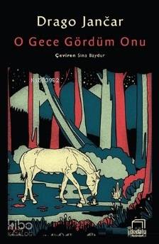 O Gece Gördüm Onu - Drago Jancar