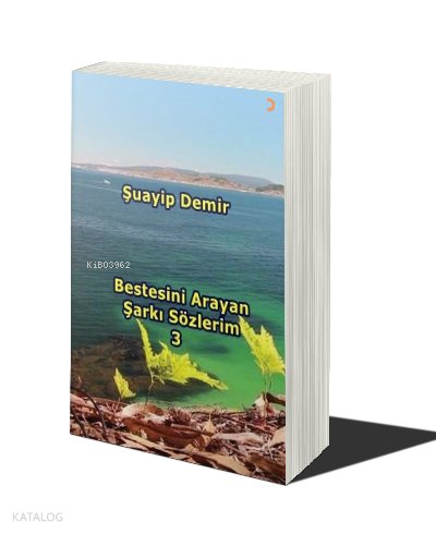 Bestesini Arayan Şarkı Sözlerim 3 - Şuayip Demir