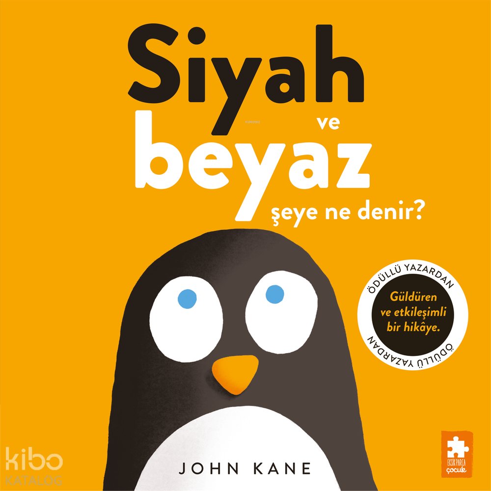 Siyah ve Beyaz Şeye Ne Denir?