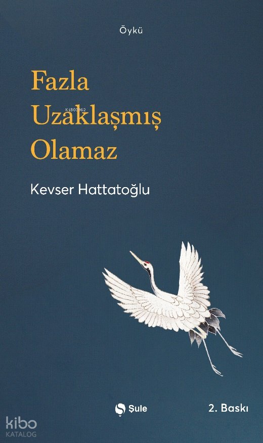 Fazla Uzaklaşmış Olamaz