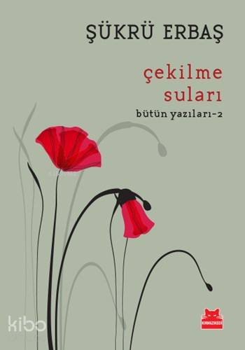 Çekilme Suları - Şükrü Erbaş