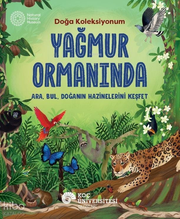 Yağmur Ormanında