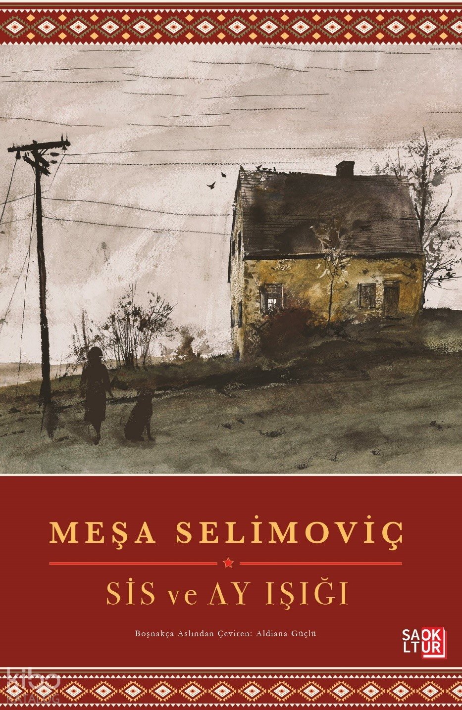 Sis ve Ay Işığı - Meşa Selimoviç