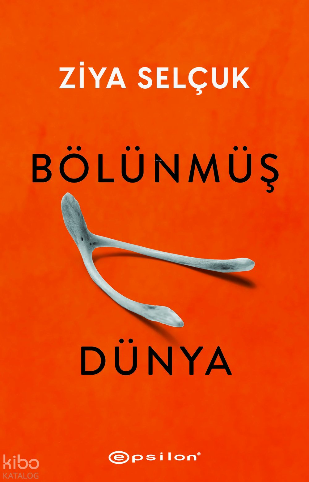 Bölünmüş Dünya