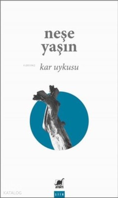 Kar Uykusu