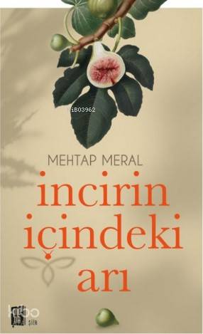 İncirin İçindeki Arı - Mehtap Meral