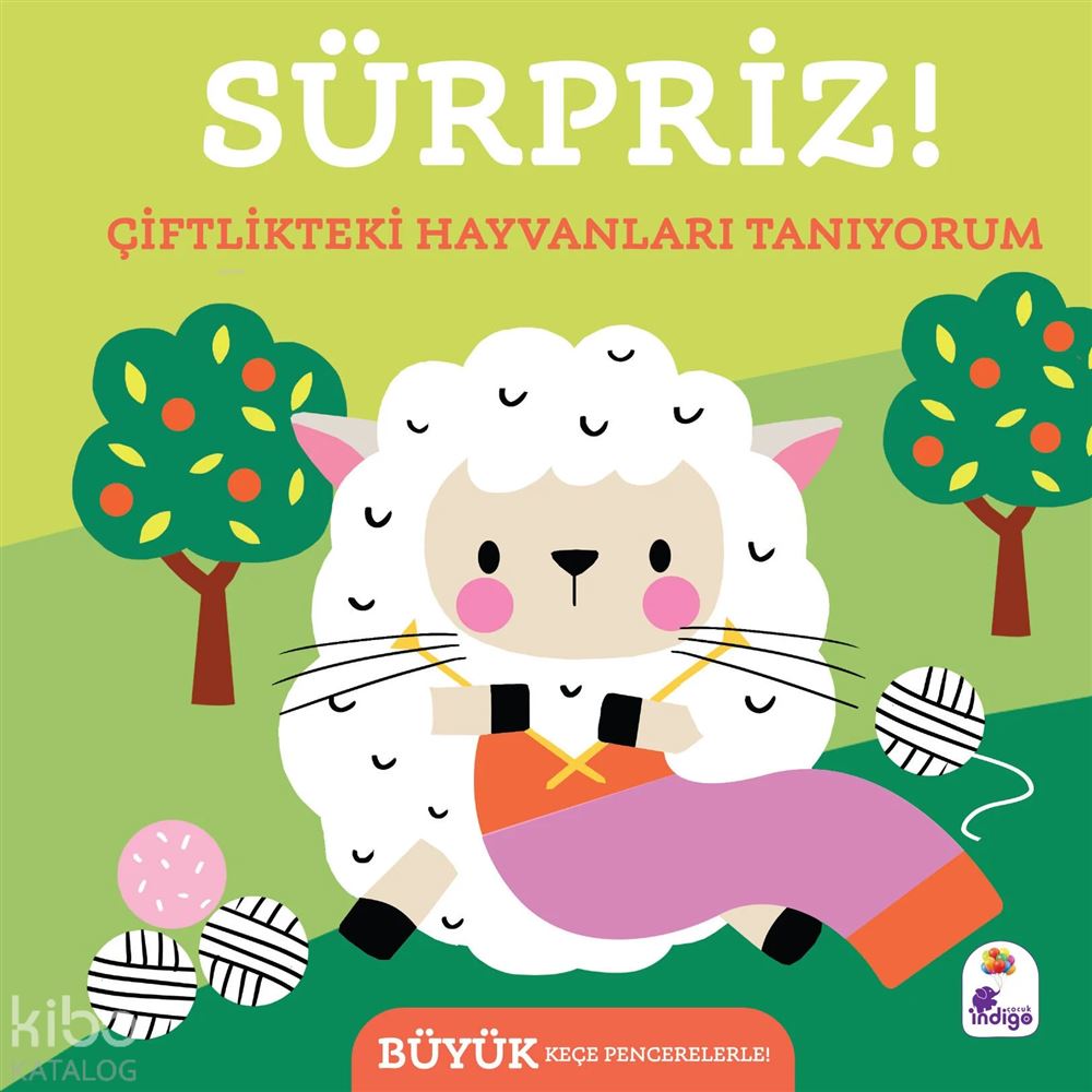 SÜRPRİZ - ÇİFTLİKTEKİ HAYVANLARI TANIYORUM
