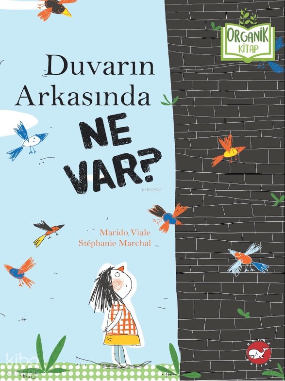 Duvarın Arkasında Ne Var?