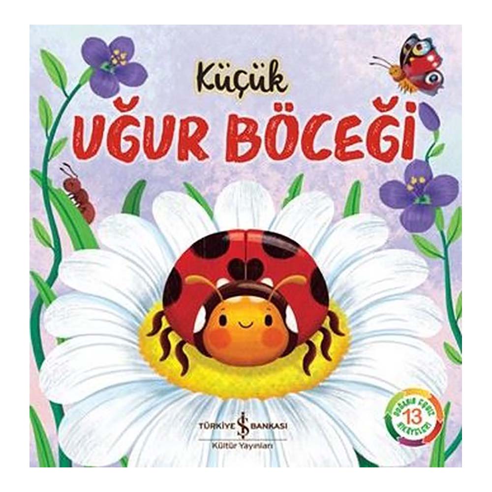 KÜÇÜK UĞUR BÖCEĞİ