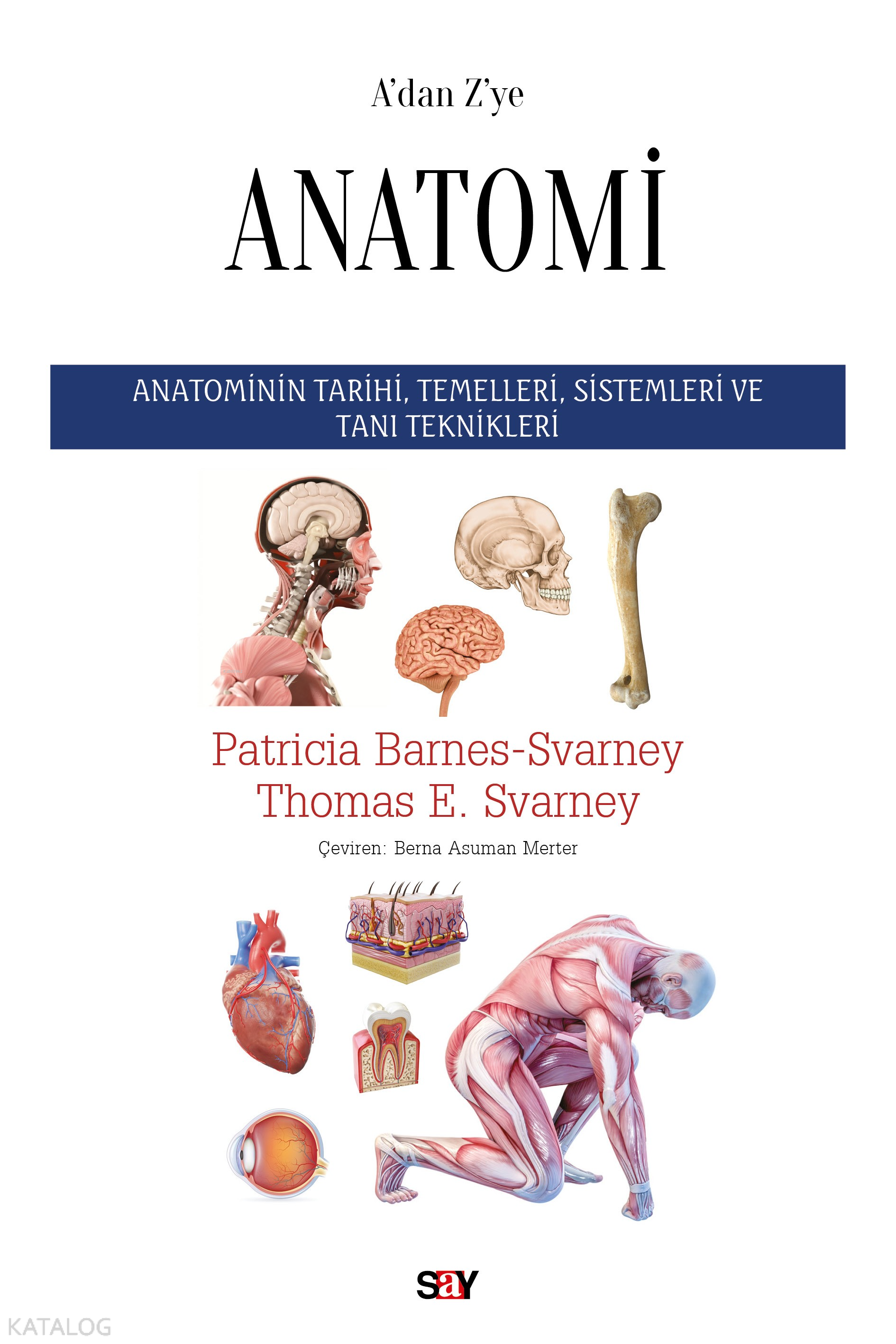 ANATOMİ - Patricia Barnes Svarney