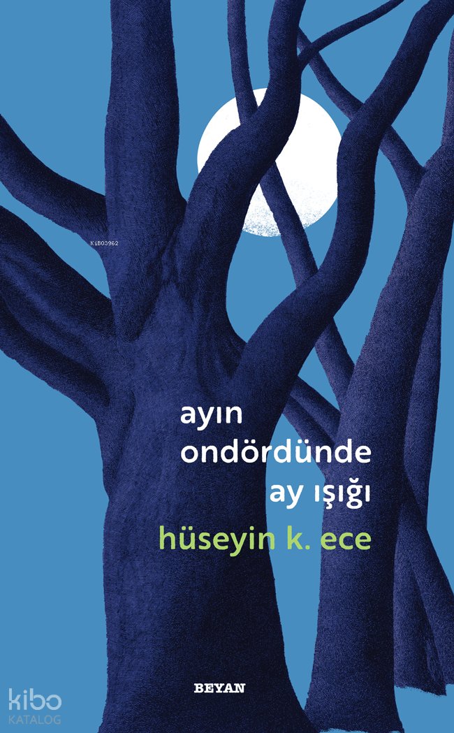 Ayın Ondördünde Ay Işığı - Hüseyin K. Ece