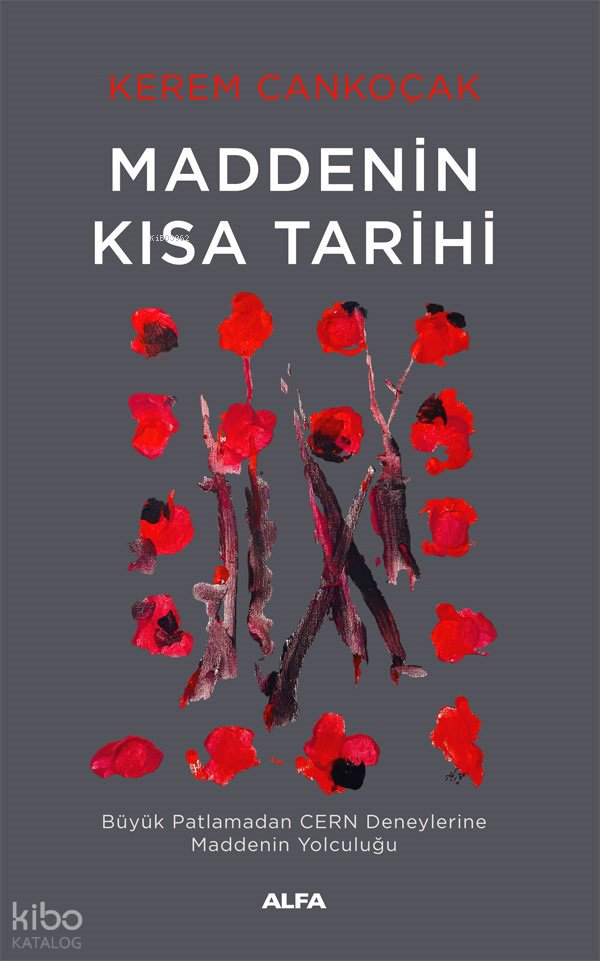 Maddenin Kısa Tarihi - Kerem Cankoçak
