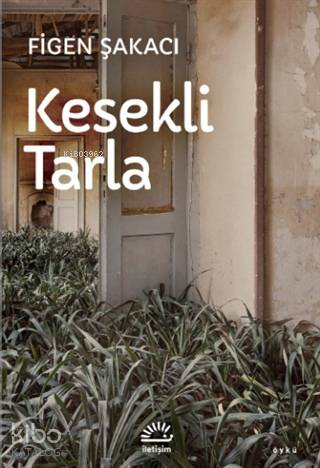 Kesekli Tarla - Figen Şakacı
