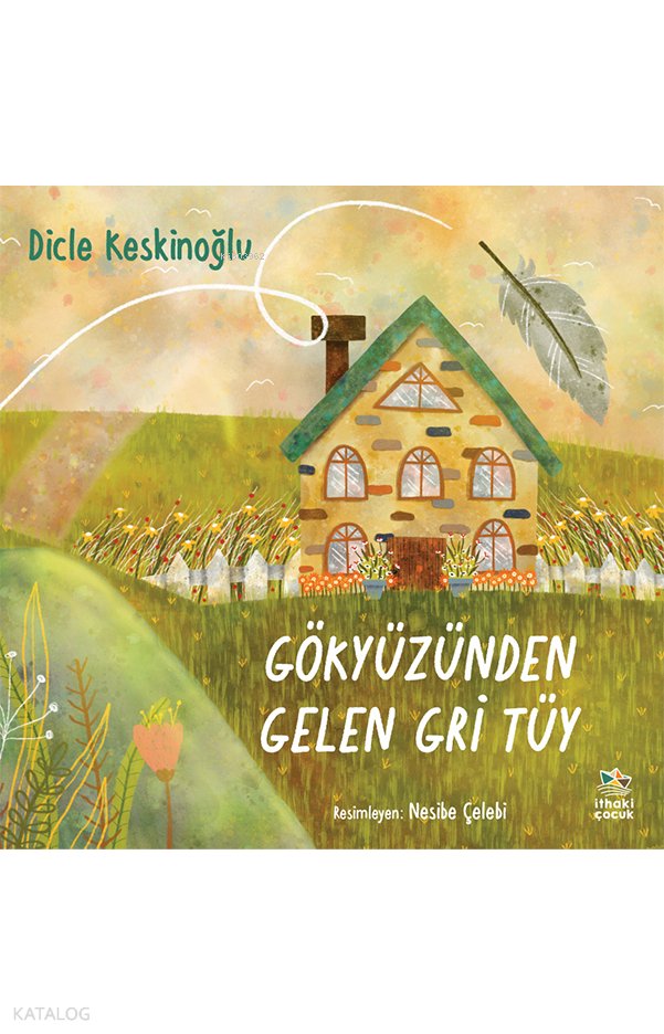 Gökyüzünden Gelen Gri Tüy