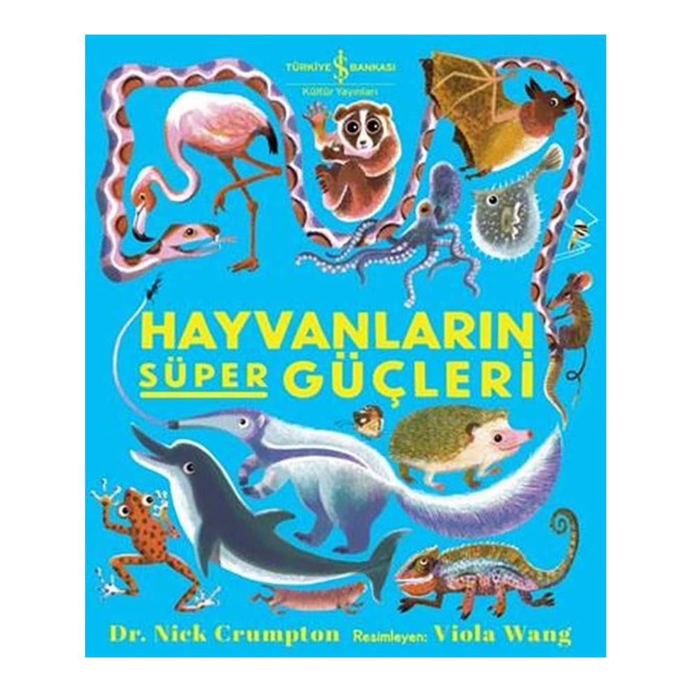 HAYVANLARIN SÜPER GÜÇLERİ
