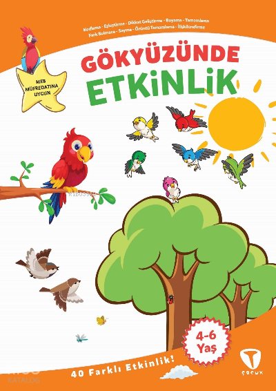 Gökyüzünde Etkinlik - Fatma Hazan Türkkol