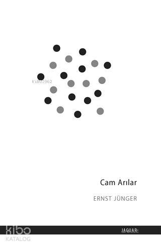 Cam Arılar - Ernst Jünger