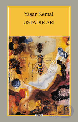 USTADIR ARI