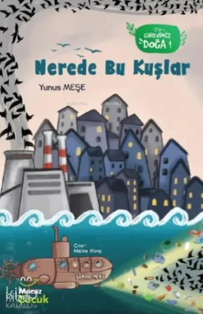 Nerede Bu Kuşlar - Yunus Meşe