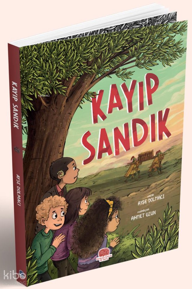 Kayıp Sandık - Ayşe Dolmacı