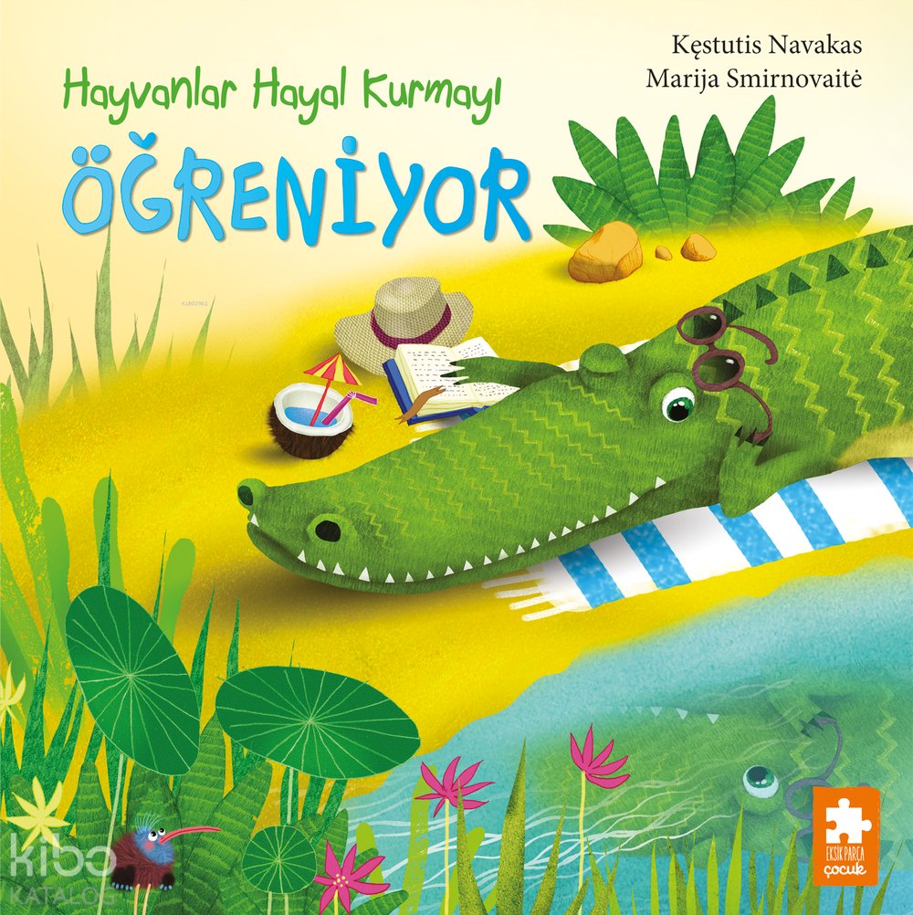 Hayvanlar Hayal Kurmayı Öğreniyor