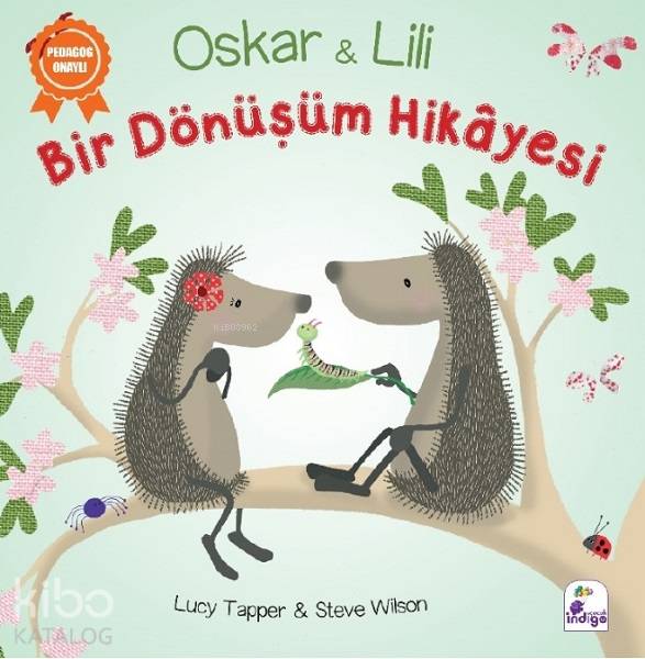 Bir Dönüşüm Hikayesi