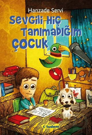 SEVGİLİ HİÇ TANIMADIĞIM ÇOCUK - 1