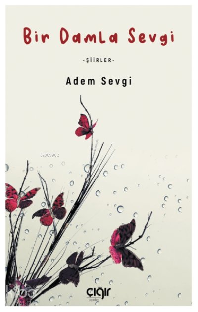 Bir Damla Sevgi - Şiirler - Adem Sevgi