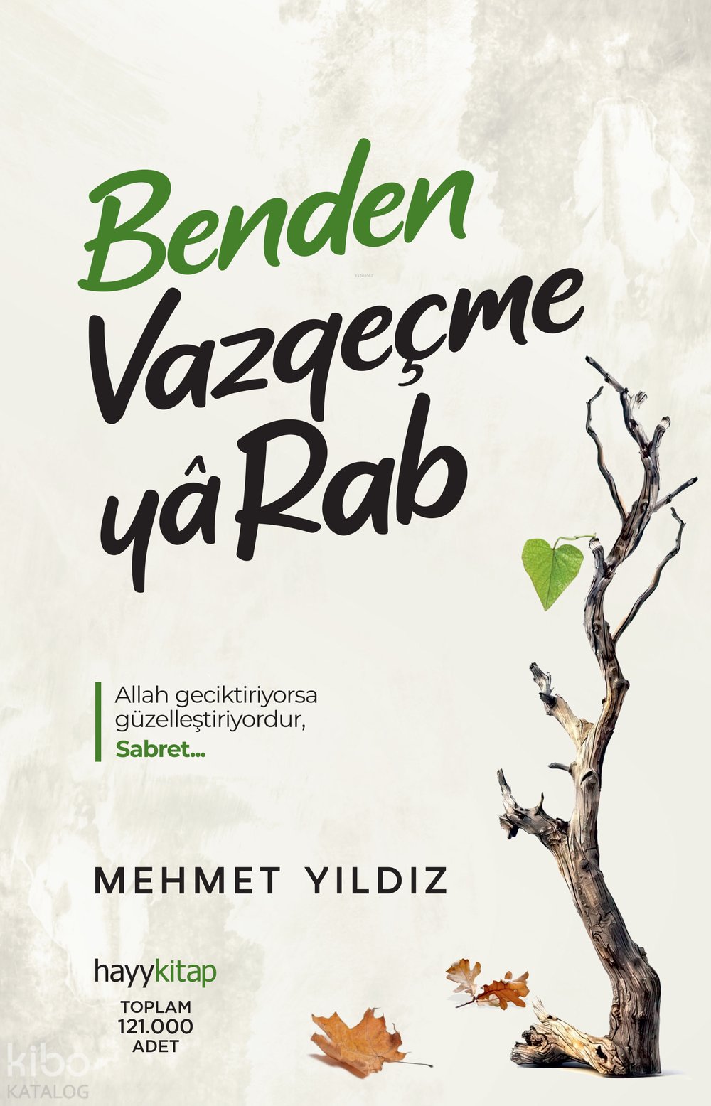 Benden Vazgeçme Ya Rab! - Mehmet Yıldız