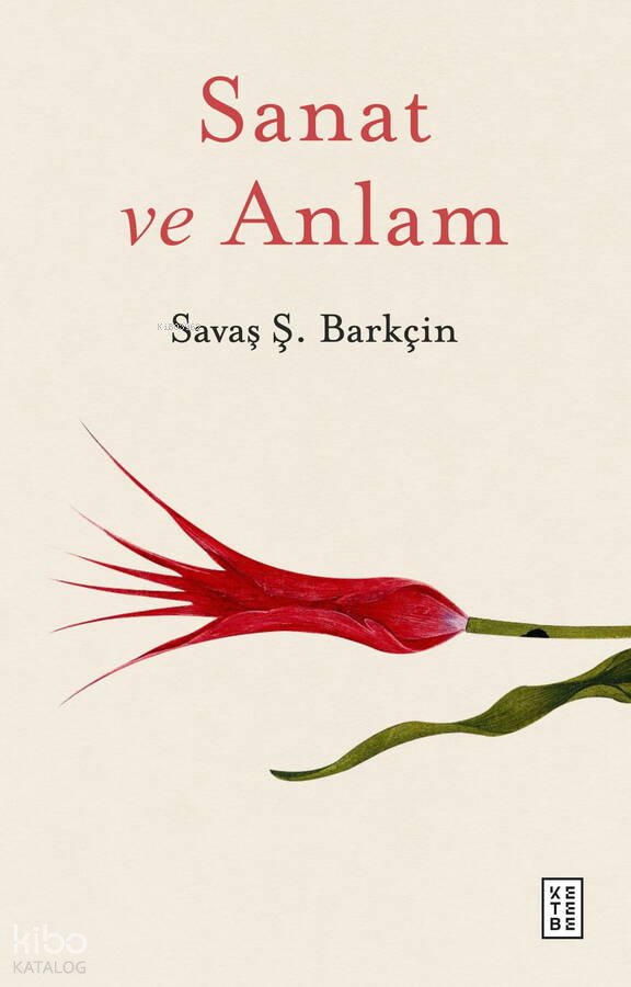 Sanat ve Anlam - Savaş Ş. Barkçin