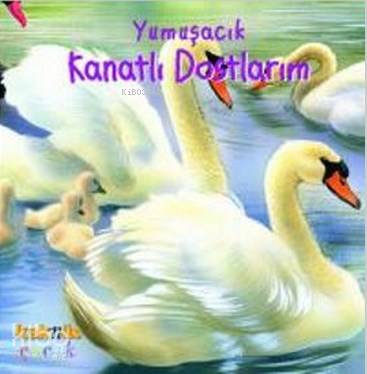 Yumuşacık Kanatlı Dostlarım (0-5 Yaş) - Philippe Salembier