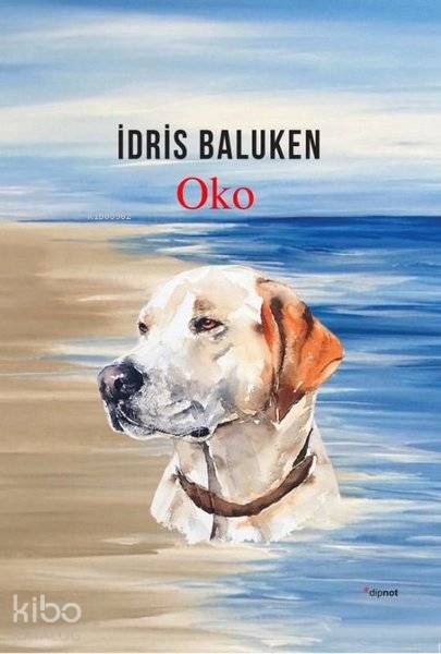 Oko - İdris Baluken